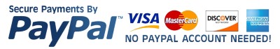 Secure payments for PayPal no PayPal account needed