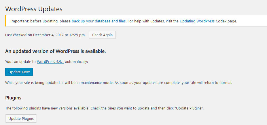 WordPress version updates